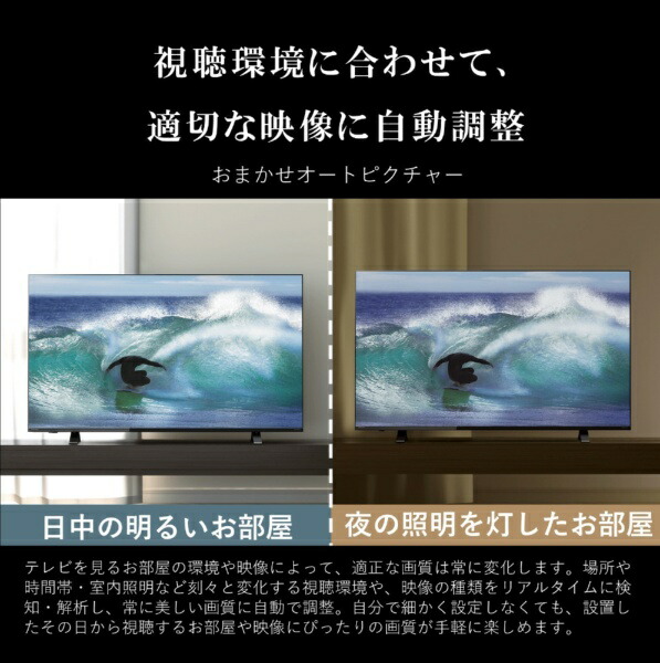 楽天ビック｜REGZA｜レグザ 液晶テレビ REGZA(レグザ) 43E350M [43V型