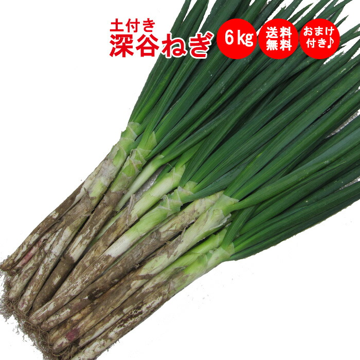 楽天市場】土付き深谷ねぎ6Kgセット 購入特典付き【産地直送 無選別