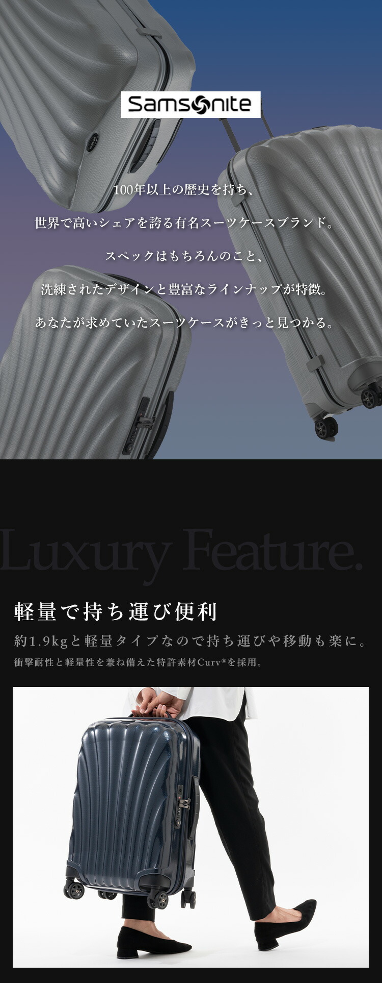 スーツケース 機内持ち込み Lサイズ Mサイズ バック 送料無料