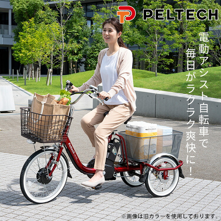 完成品]電動三輪車 20インチ TDR-163[直送][時間指定不可][代引不可