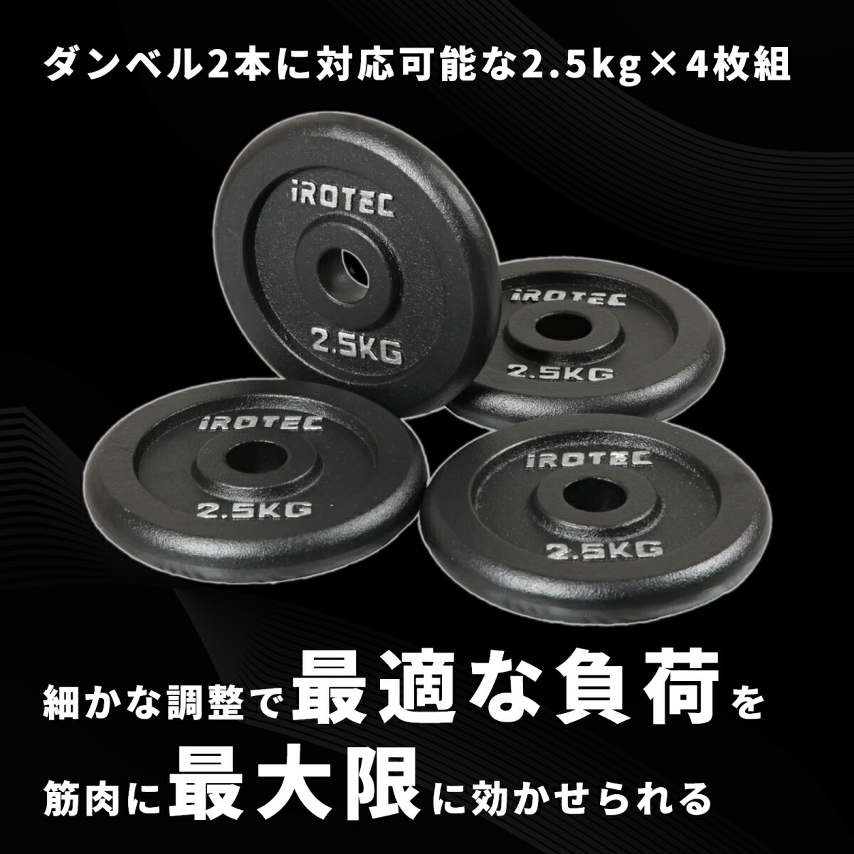 アイアンプレート2.5kg(4枚) IROTEC (アイロテック)