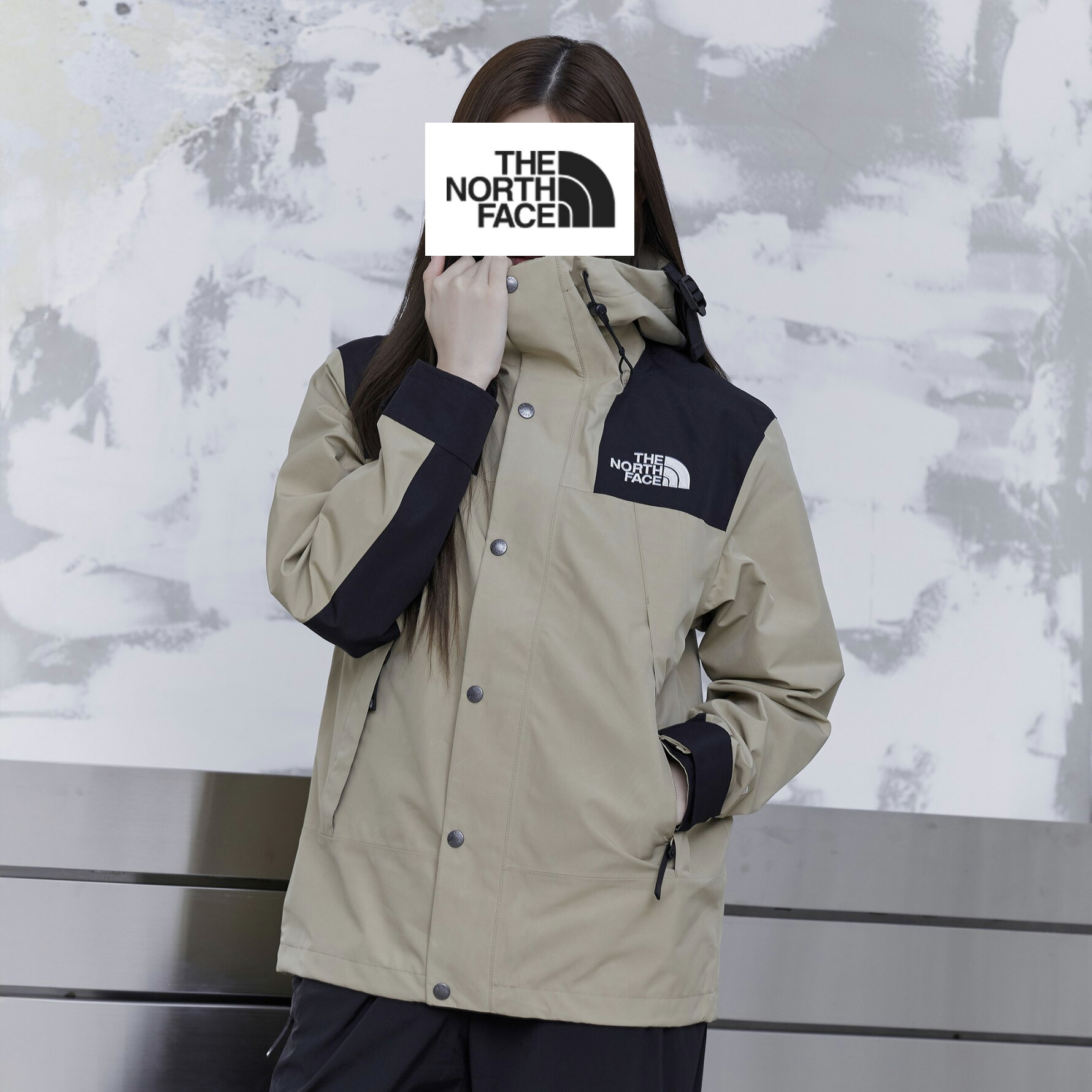 楽天市場】【正規品】 ノースフェイス ジャケット ECO GTX MOUNTAIN