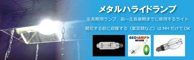 楽天市場】植物育成ライト用 安定器 Nanolux Ballast OG 600W : 自然緑商事