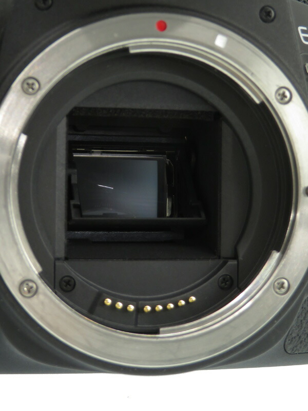 Canon】キヤノン『EOS 9000D ボディ』EOS9000D 2420万画素 APS-C 45測