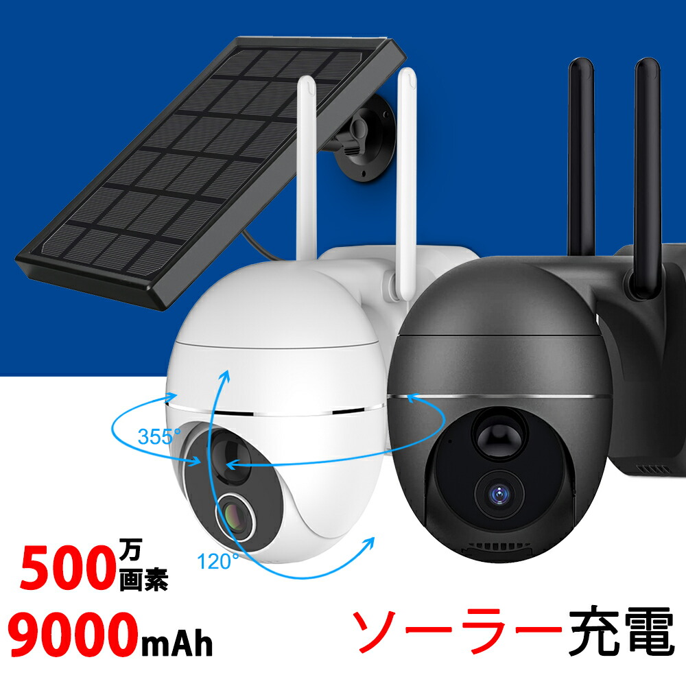 龍彦商事 SS特集ページ