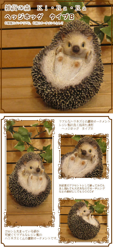 楽天市場】ハリネズミ 置物 Bタイプ 仰向けヘッジホッグ 動物
