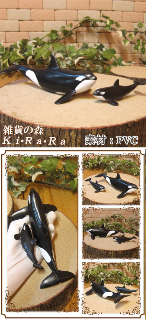 楽天市場】シャチの置物 鯱の親子 2点セット リアルな しゃち