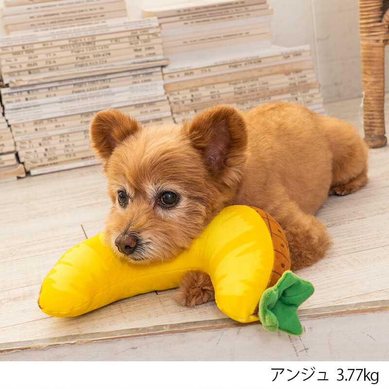 パインピロー F Solgra-ソルグラ- 犬用 アゴ置きまくら トイプードル