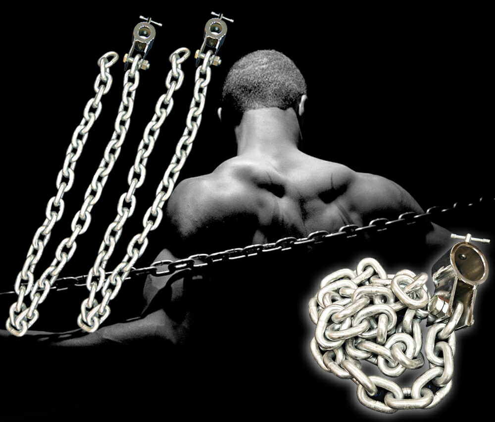 楽天市場】トレーニングチェーン Φ28mm用 (15kg×2本)送料無料 ジム