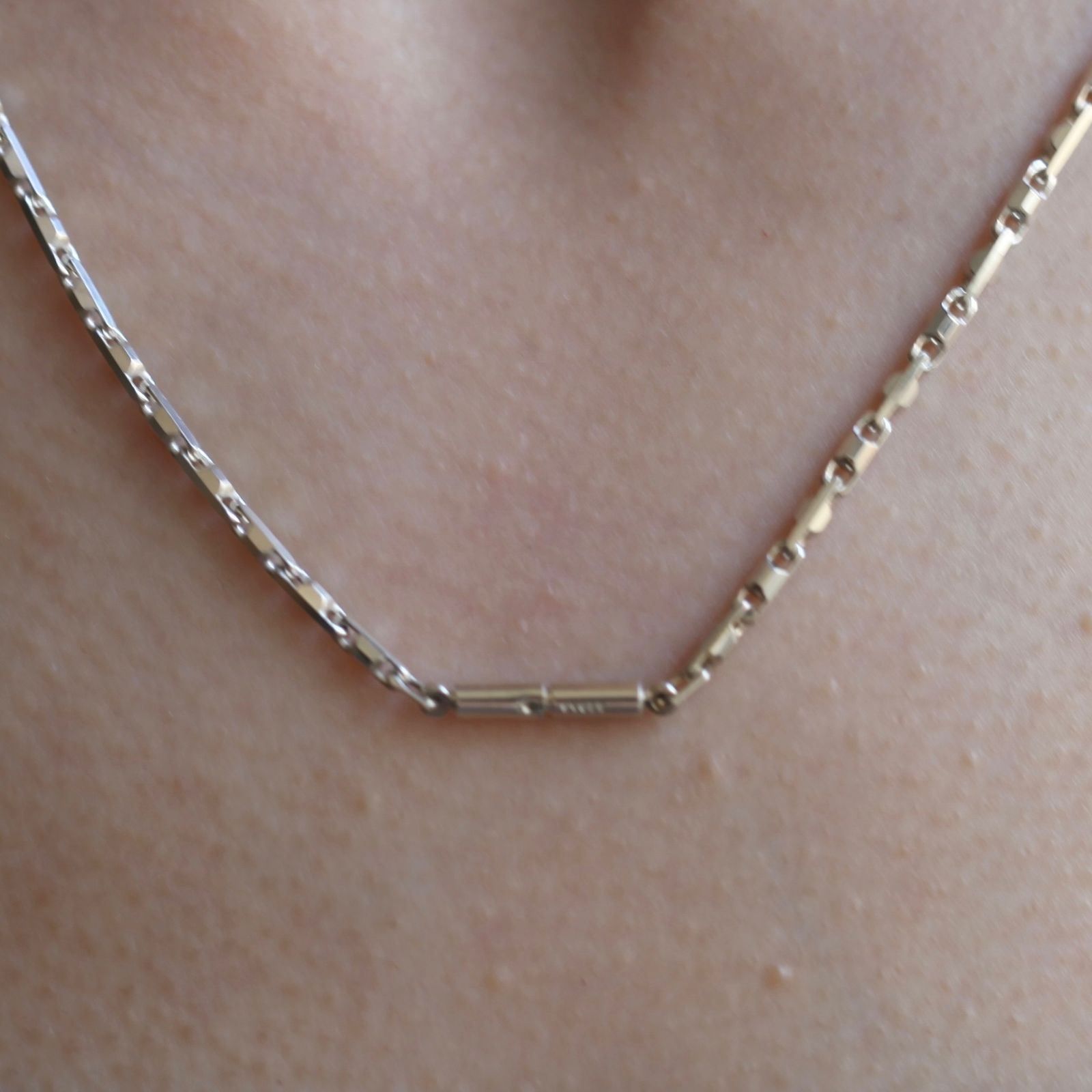 Garden of Eden - 【残り一点】Hesche Chain Necklace(SILVER