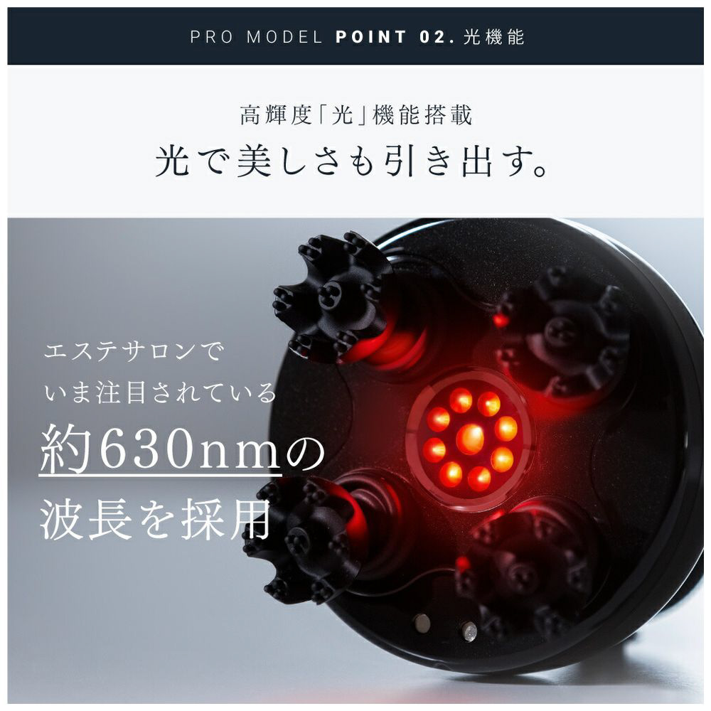 MT-EHP22B 電気針 EMS HEAD SPA PRO（ヘッドスパ プロ） MYTREX（マイ