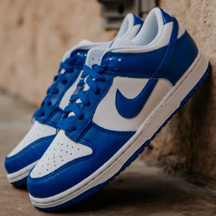 国内3月14日/18日/11月14日/29日発売予定】ナイキ ダンク ロー