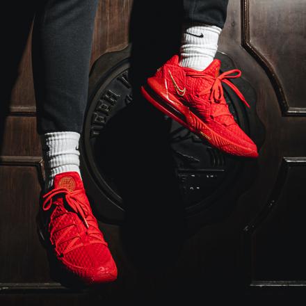 国内9月1日発売予定】 タイタン × ナイキ レブロン 17 ロー PH