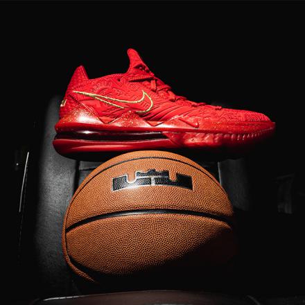 国内9月1日発売予定】 タイタン × ナイキ レブロン 17 ロー PH