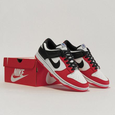 国内1月31日発売予定】ナイキ ダンク ロー EMB 