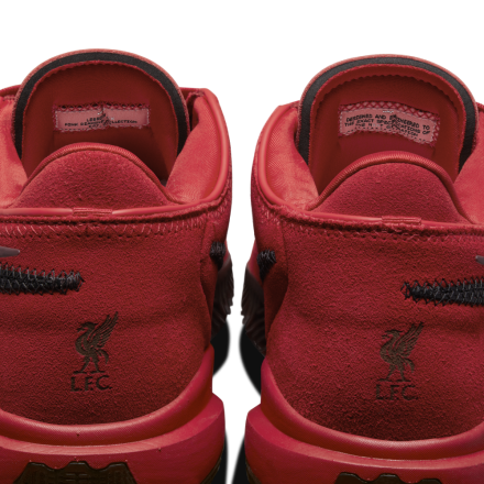 国内2月9日発売予定】 ナイキ レブロン 20 EP 