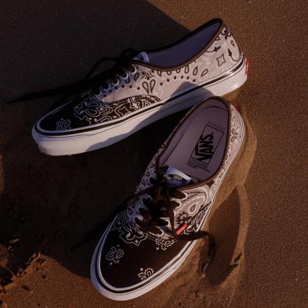 国内11月16日/17日発売予定】 ベドウィン・アンド・ザ・ハート