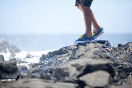 8月23日発売予定】 フィッテッド ハワイ × ブルー ハワイ サーフ