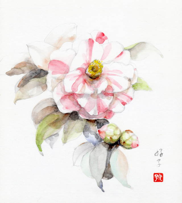 椿（白）」水彩画（絵寸270×240・額寸354×384mm）志村好子