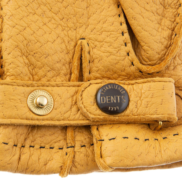 15-1564 DENTS Peccary and Cashmere lining Gloves | Mashimo Onlineshop