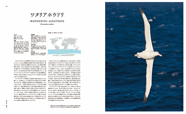 世界の渡り鳥大図鑑 株式会社 緑書房