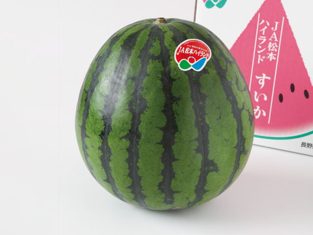 JA松本ハイランド 長野県産すいか 3L