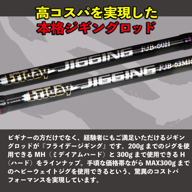 MAX300gまで対応！ 本格 オフショアジギング セット ベイト (ジギング