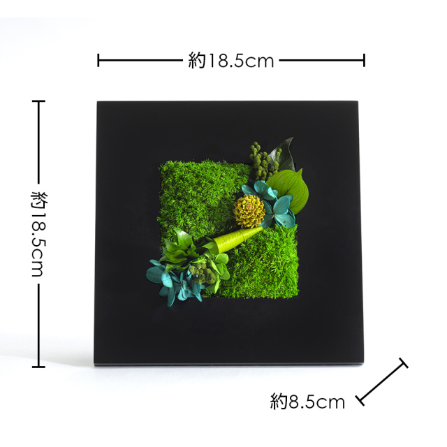 gfm-size.jpg?t=20250220121143