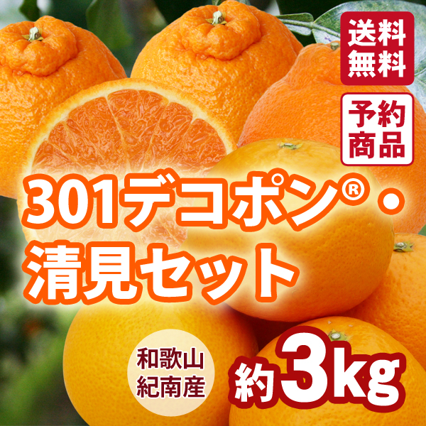 送料無料】301デコポン・清見セット 約3kg 紀州梅干し・みかんのJA