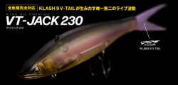 フィッシュアロー×DRT VT-JACK210 210mm/54g 【シーバスルアー専門店
