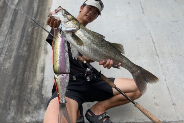 モンスターキス ディアモンスター MX-∞+ 【シーバスルアー専門店