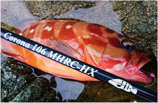 ツララ ハーモニクスコローナ106MHRC-HX ストローセッティング