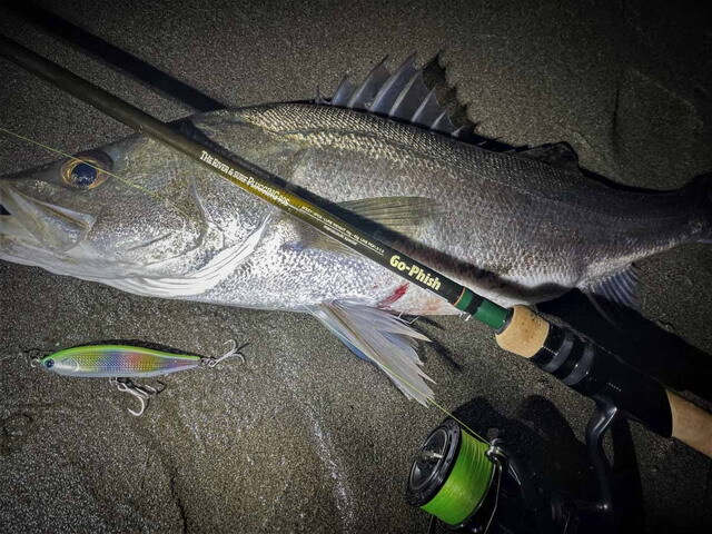 ゴーフィッシュ（Go-Phish） The River＆Surf Plugging 90S DPS