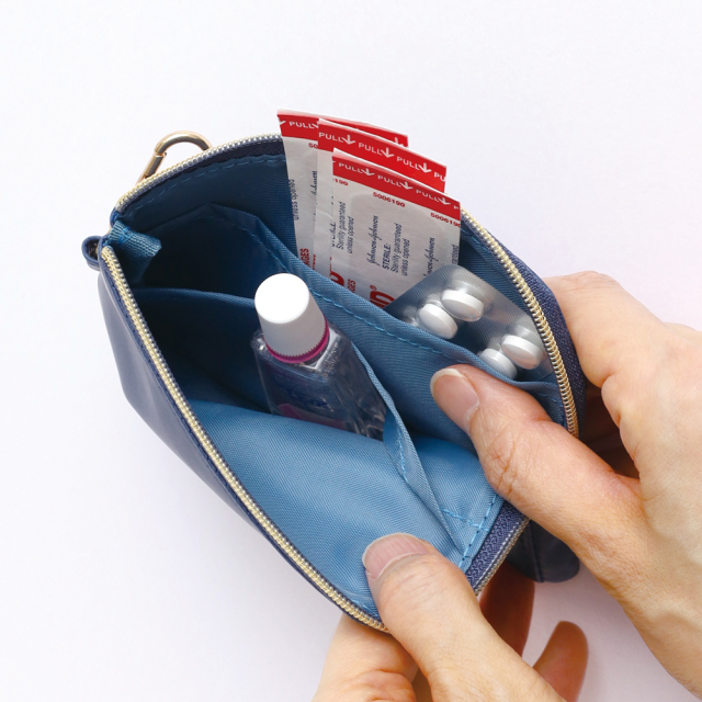 zizou　ドラえもんズベル　ガードケース他 ドラえもん マルチカードケース<どこでもドア> DG-322 | デザイン