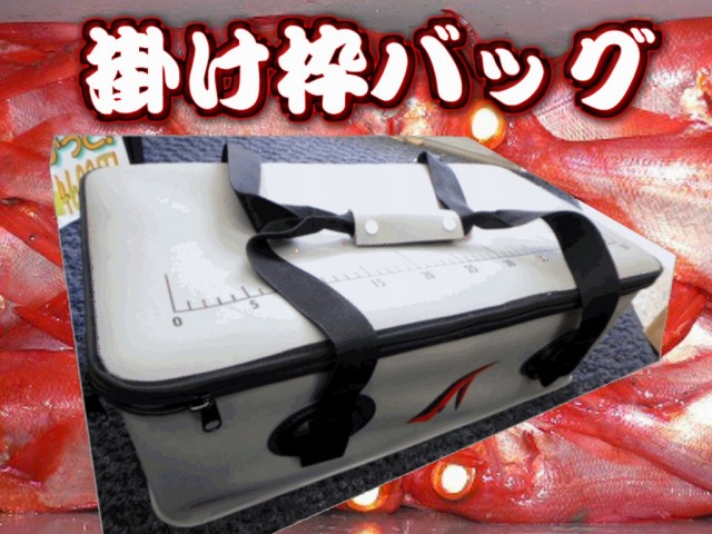 マグネット 深場 投入 マグサイバー