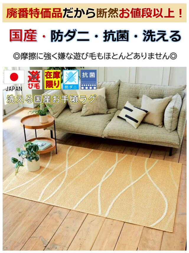 DSC_28475.JPG?t=20250218230343