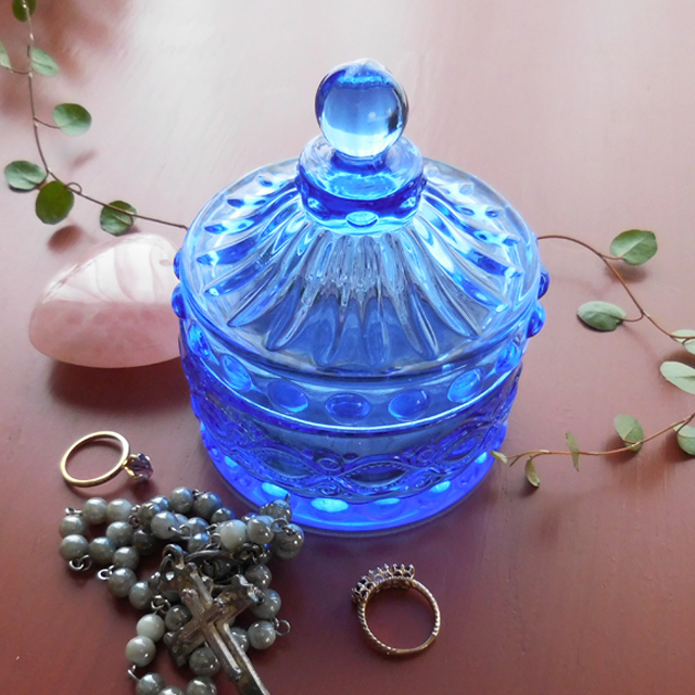 COVENT GARDEN コベントガーデン コバルト サーカスケース