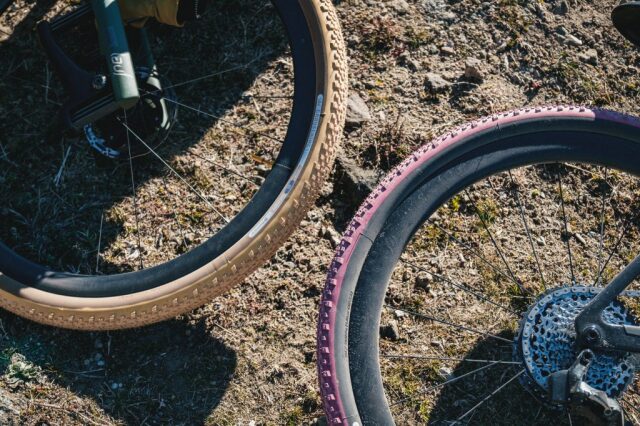 Panaracer GRAVEL KING X1 Limited Color 2025 (パナレーサー グラベル