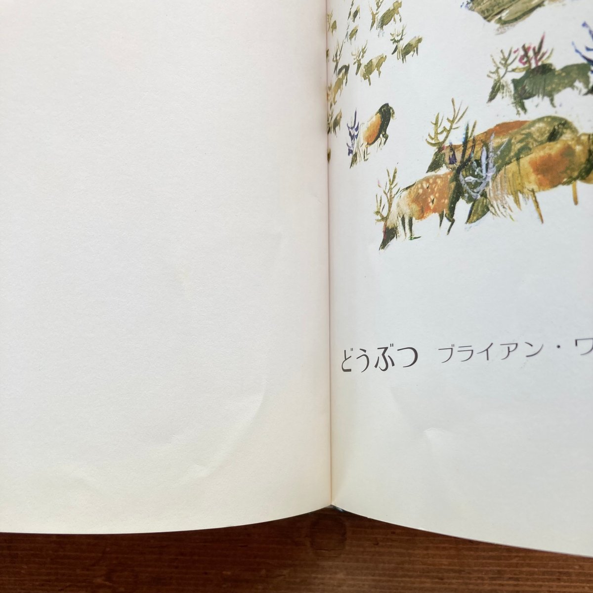 どうぶつ／ブライアン・ワイルドスミス ② | MILMOUNTAIN STORE