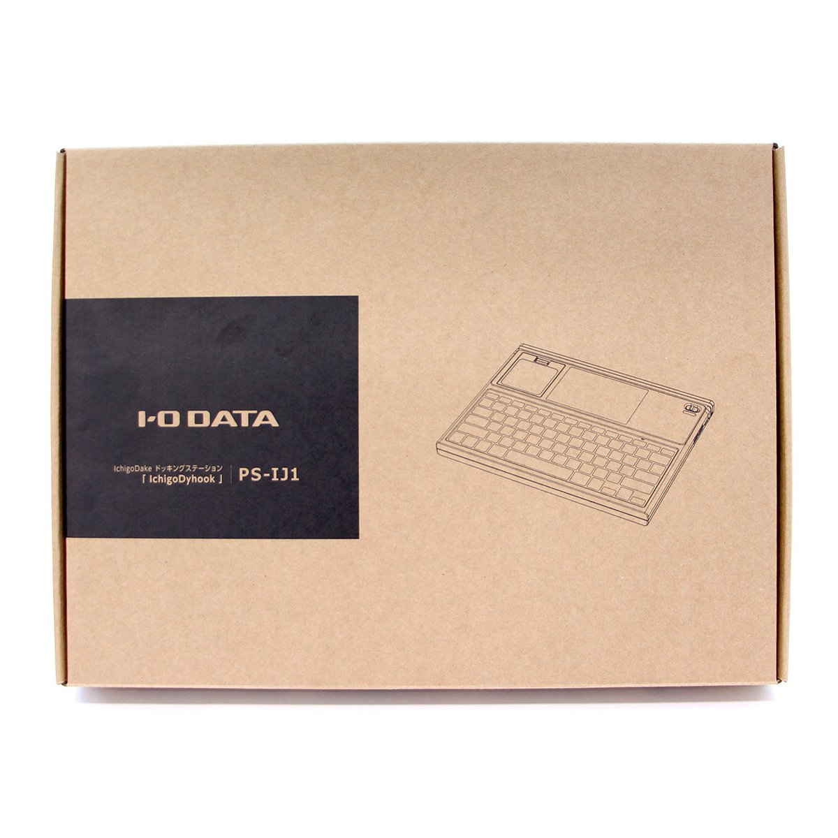 IchigoDyhook（PS-IJ1） | Programming Club Network