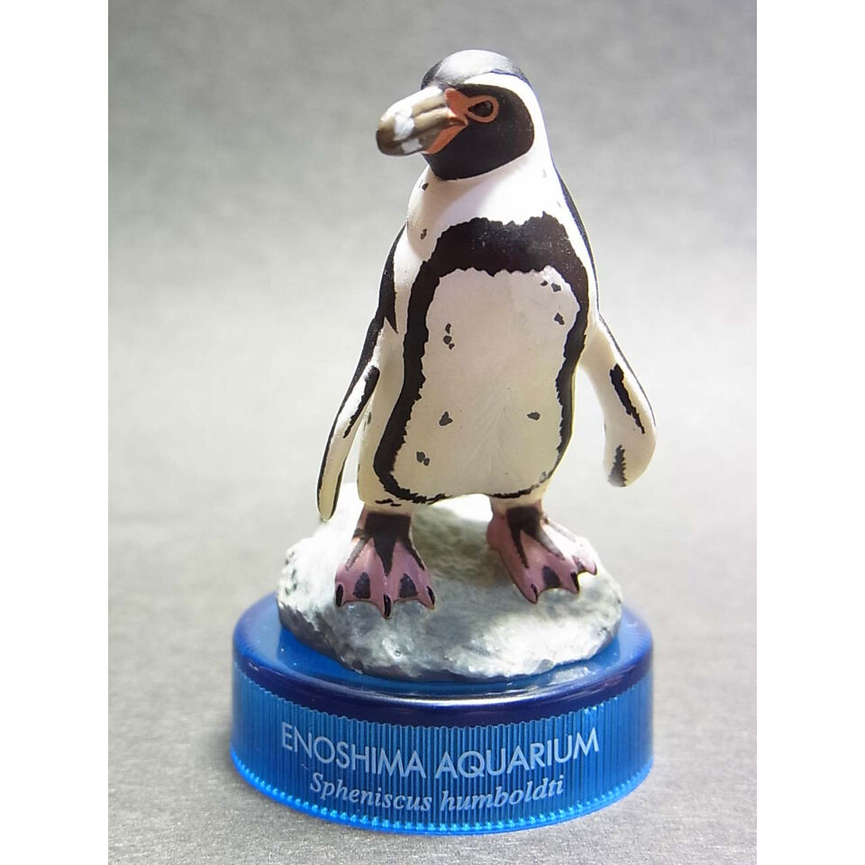 新江ノ島水族館への誘い2 10.フンボルトペンギン | トイズ・スタイル