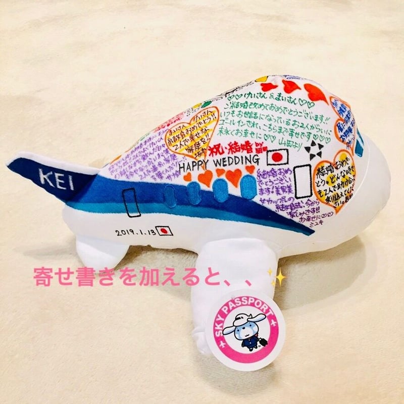 世界にひとつの特別塗装機✨ヒコーキ寄せ書きぬいぐるみセット