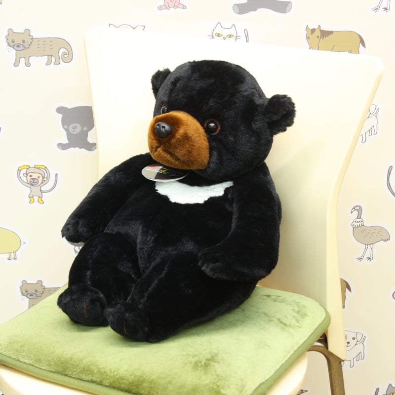 カドリー・ドミニオン ツキノワグマお座りVer. (Mサイズ) | 阿蘇