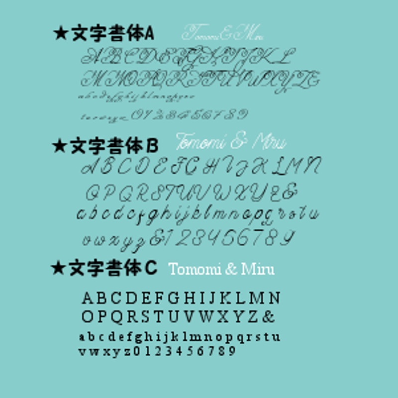 名入れオプション可！パスポートケース♡コーナリボン柄