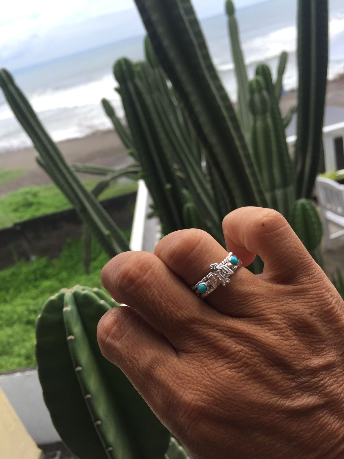 サンダーバード ターコイズ リング 925シルバー | Voyage Jewelry Japan