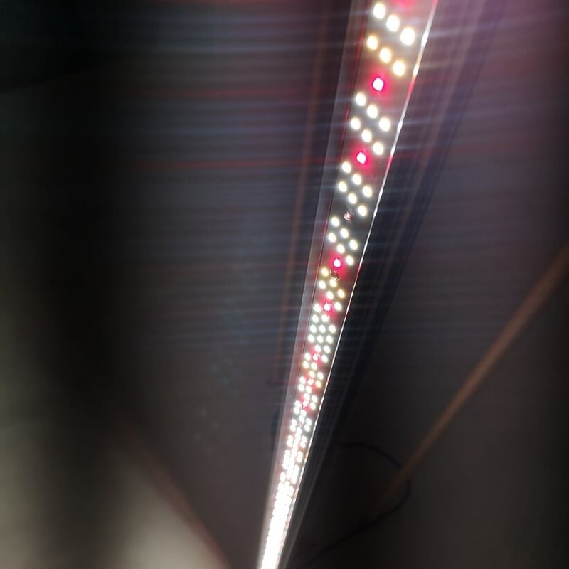 ◇ Helios Green LED シリーズ ／Helios Green LED PUPPY