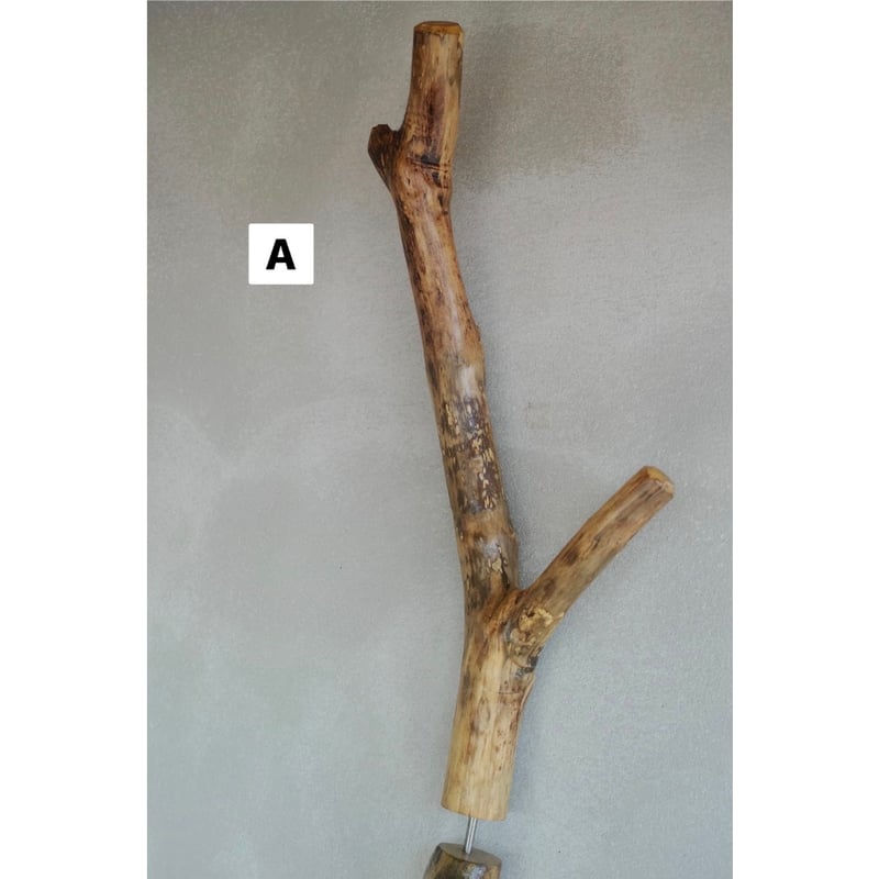 ENTOHOポール | Purveyors