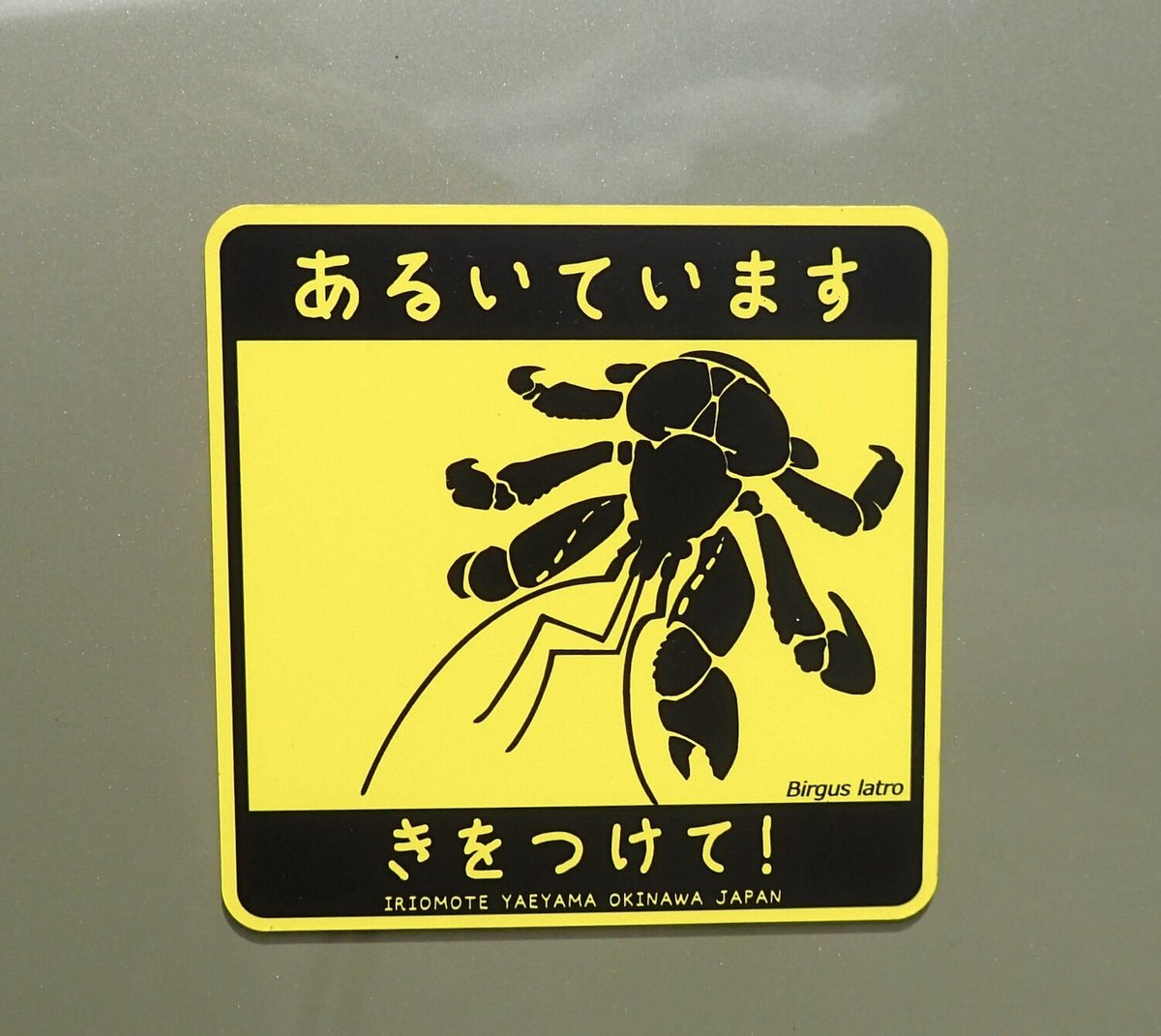 マグネット／撥水ステッカー「あるいています（ヤシガニ）」 | しまの