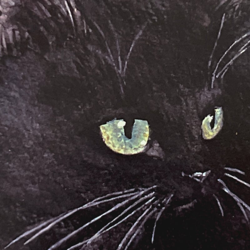 イラストカード『自宅警備中ネコちゃん（黒猫ちゃん）』(ポストカード