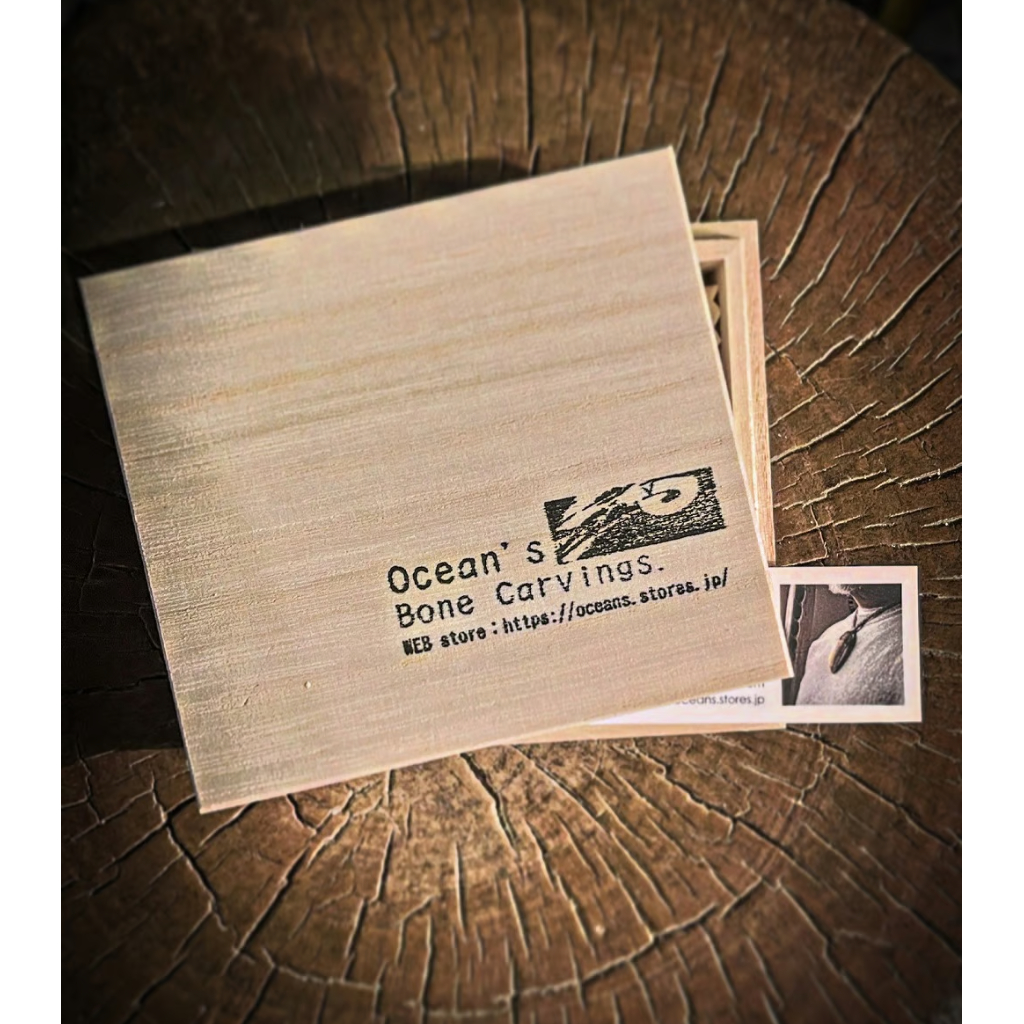 セイウチ牙 海象牙 天然素材 栓抜き 送料無料 セイウチ牙 海象牙 天然